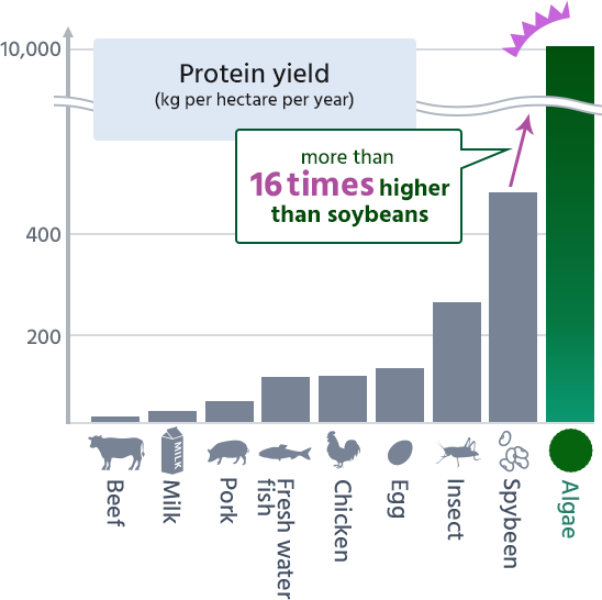 more than 16 times higher than soybeans